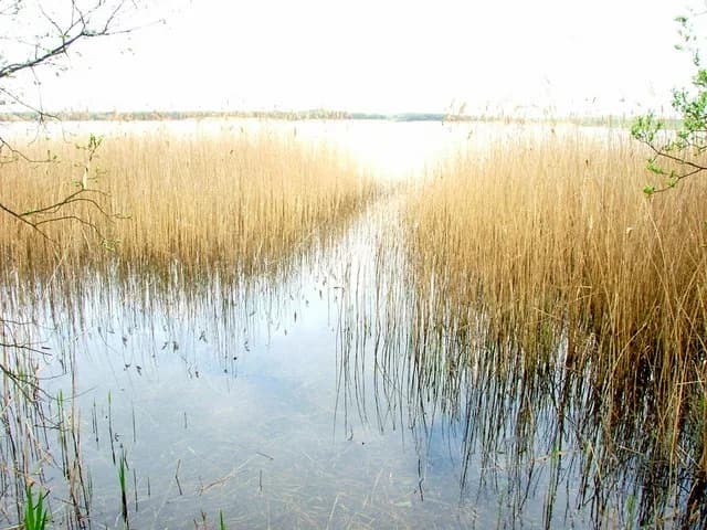 Kenfig Pool at Kenfig National Nature Reserve