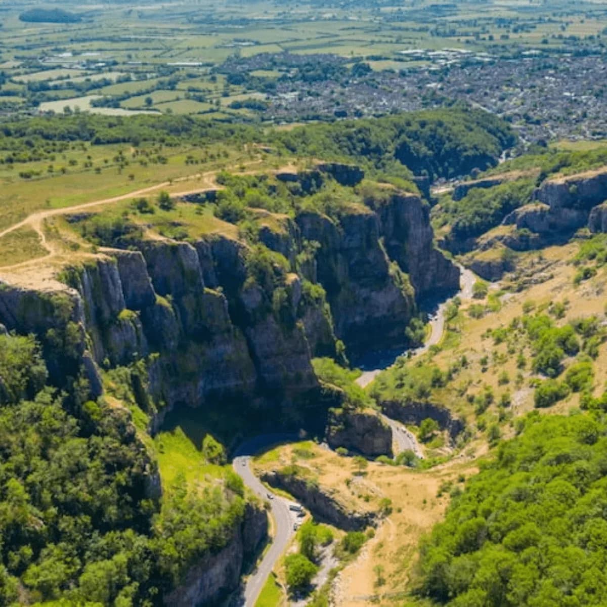 Gough's Cave, Cheddar