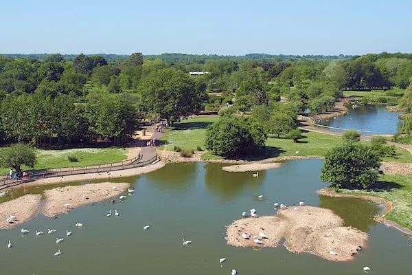 Slimbridge Wetland Centre, Stroud