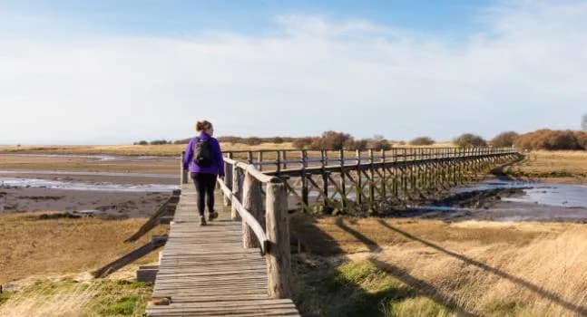 Aberlady Bay Nature Reserve, East Lothian