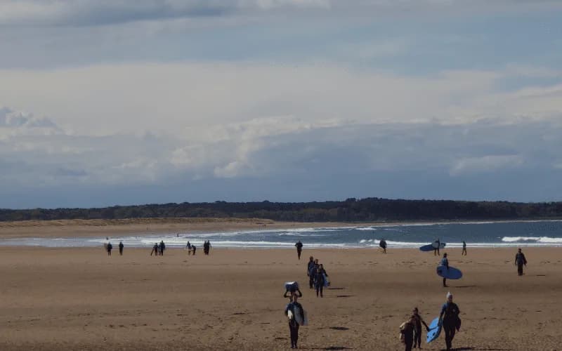 John Muir Country Park, East Lothian