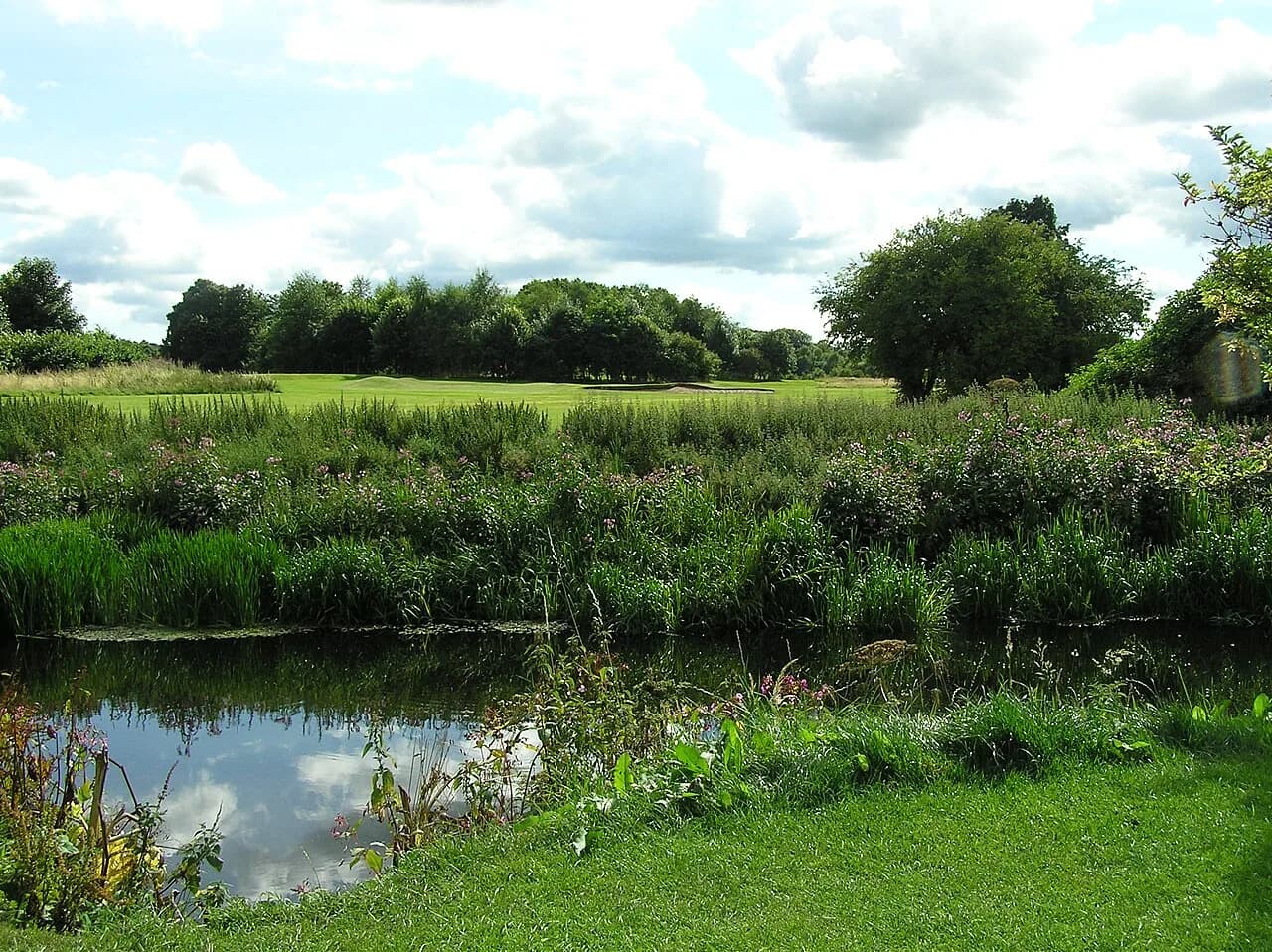 Pollok Country Park, Glasgow