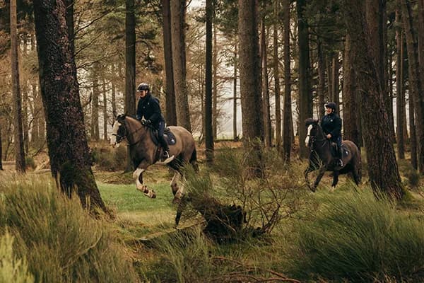 Two riders on horseback enjoying a cross-country ride through a pine forest at Gleneagles Equestrian School