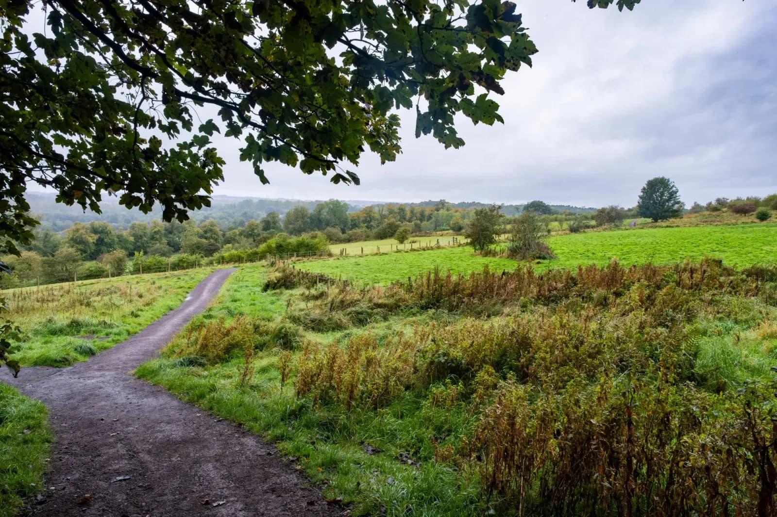 Baron's Haugh Nature Reserve, Motherwell