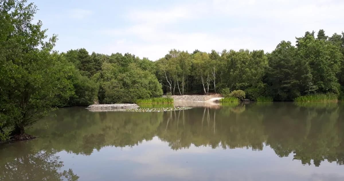 Lightwater Country Park, Camberley