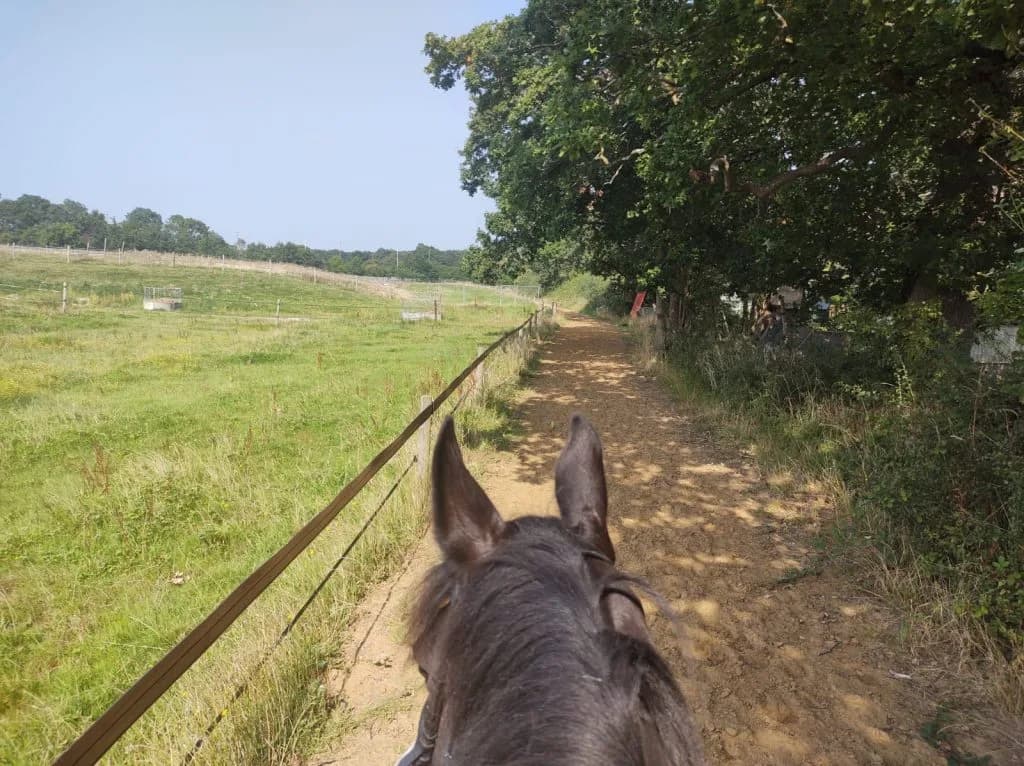 Riding lesson at Chessington Equestrian Centre