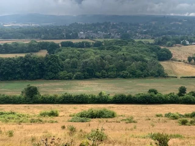 Panoramic view over the Surrey Hills from Ranmore Common