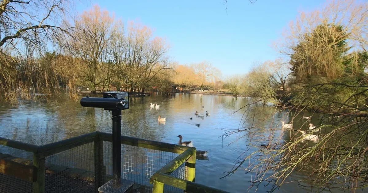 Raystede Animal Centre, Alfriston
