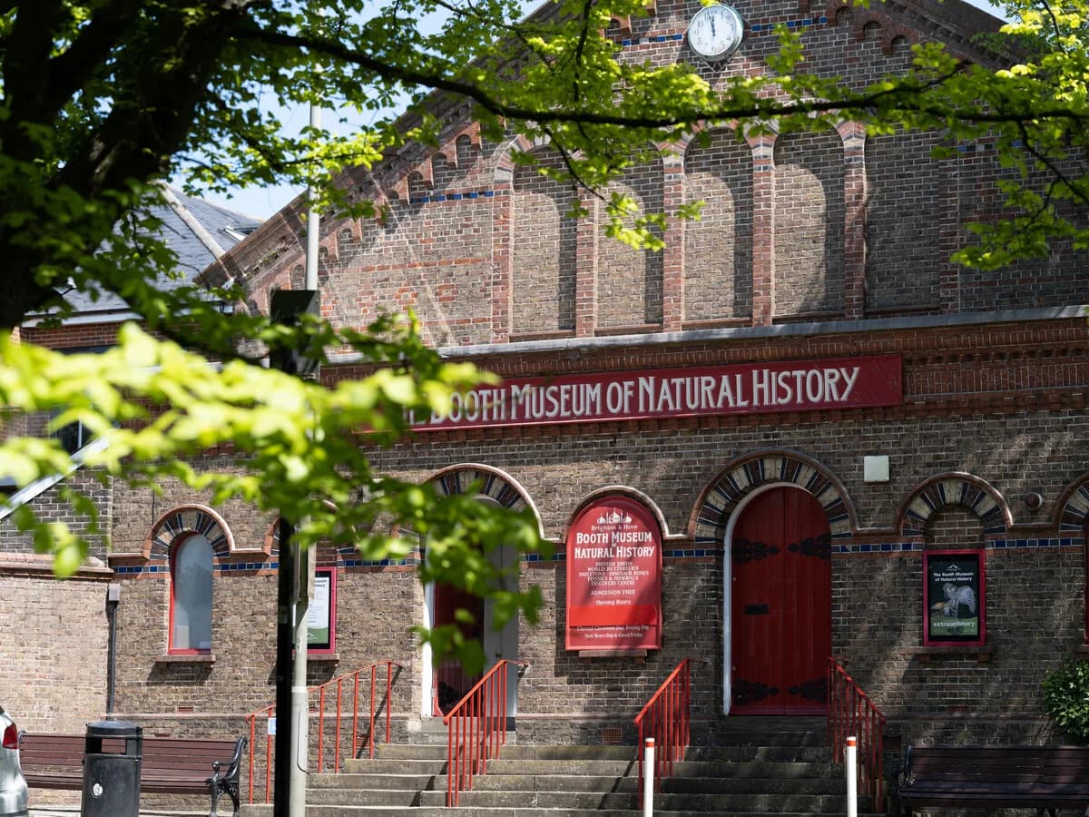 Booth Museum of Natural History, Sussex