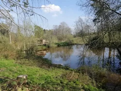 Ashdown Forest Riding Centre, Sussex