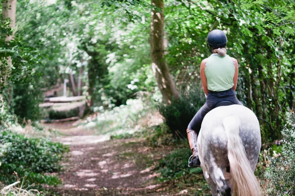 Lavant Equestrian, Chichester