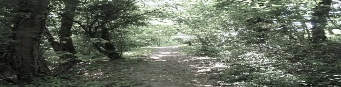 Stanmer Park, Sussex