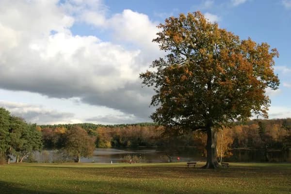Tilgate Lake at Tilgate Park, Crawley