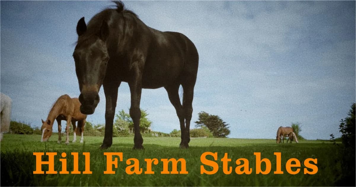 Hill Farm Stables, Yarmouth