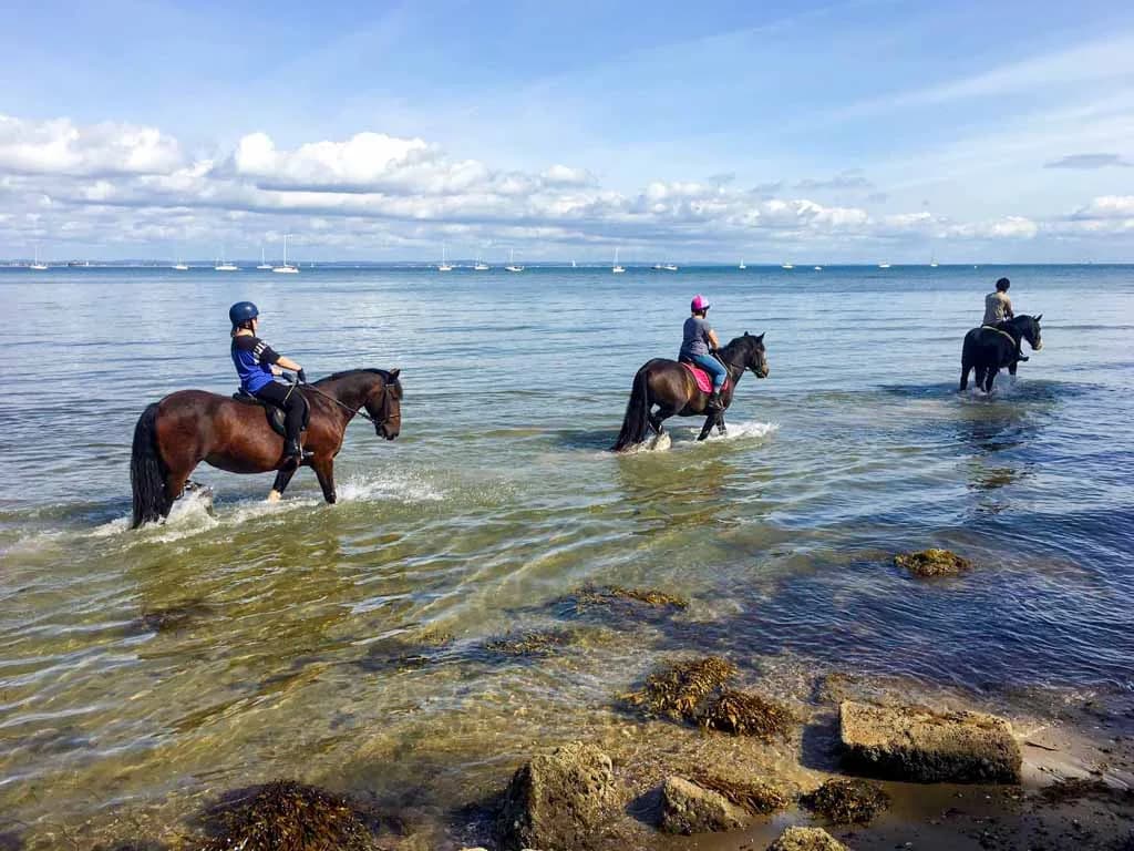 Sally's Riding School, Sandown