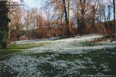 Kailzie Gardens, Peebles
