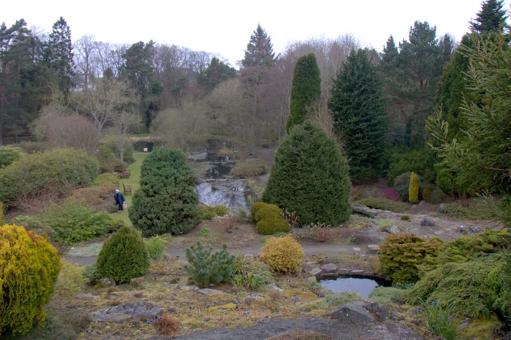 Woodland garden with ponds and winding paths at St Andrews Botanic Garden