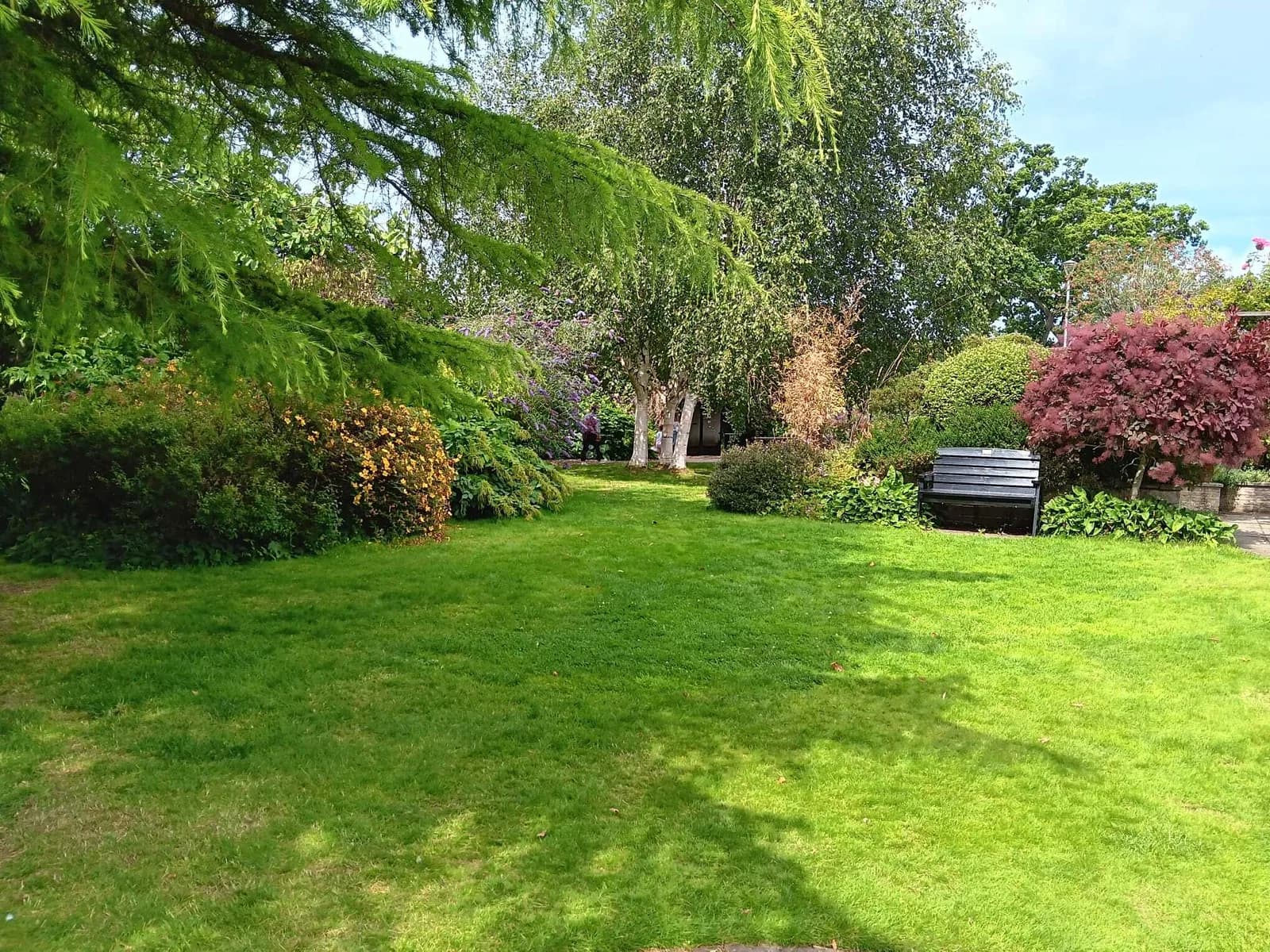 Outdoor gardens and lawns at Inverness Botanic Gardens