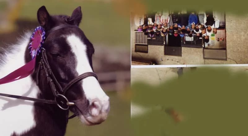 Horse riding lessons at Newquay Riding Stables, Trenance, Newquay, Cornwall