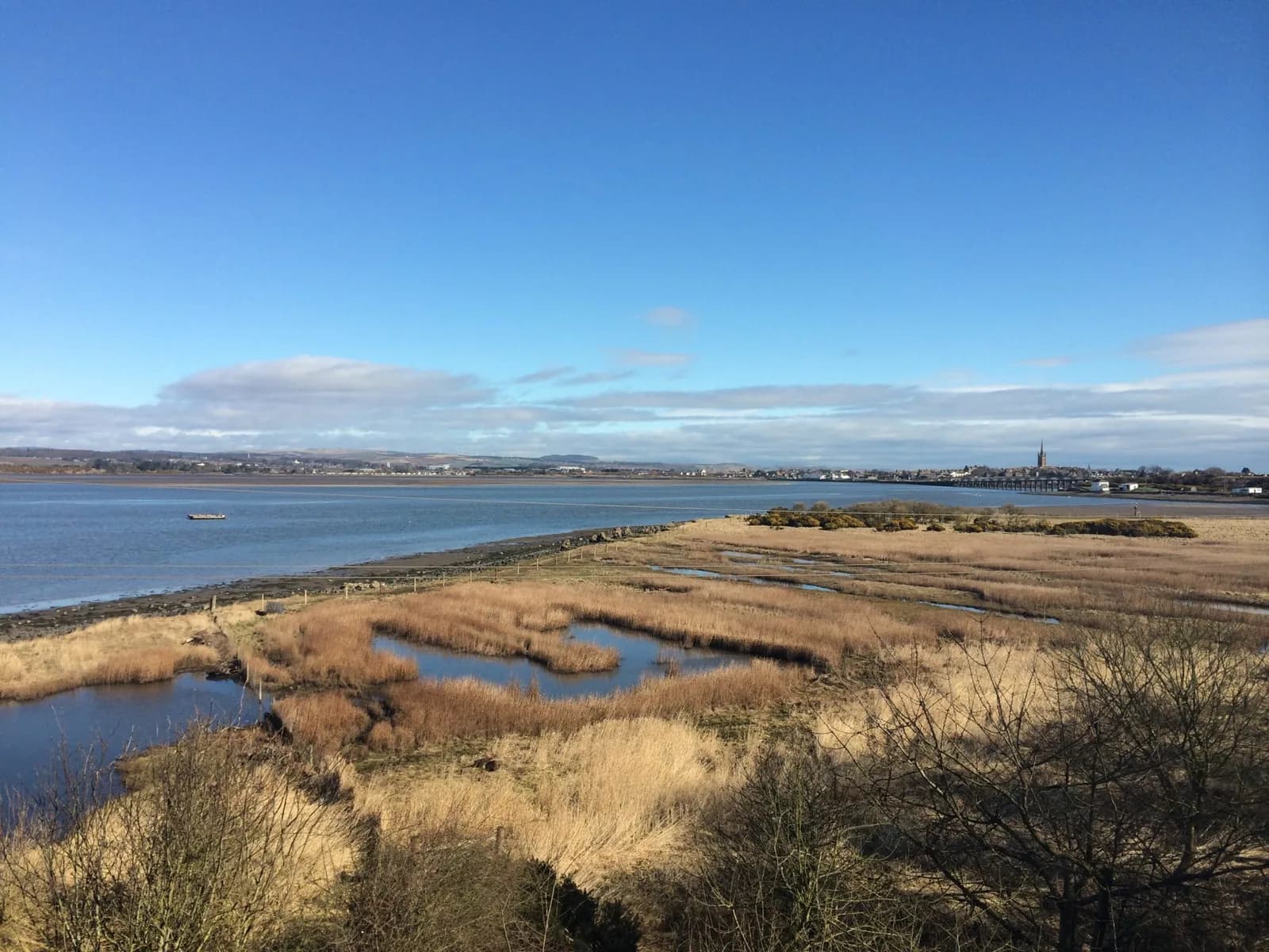 Montrose Basin Wildlife Centre, Dundee