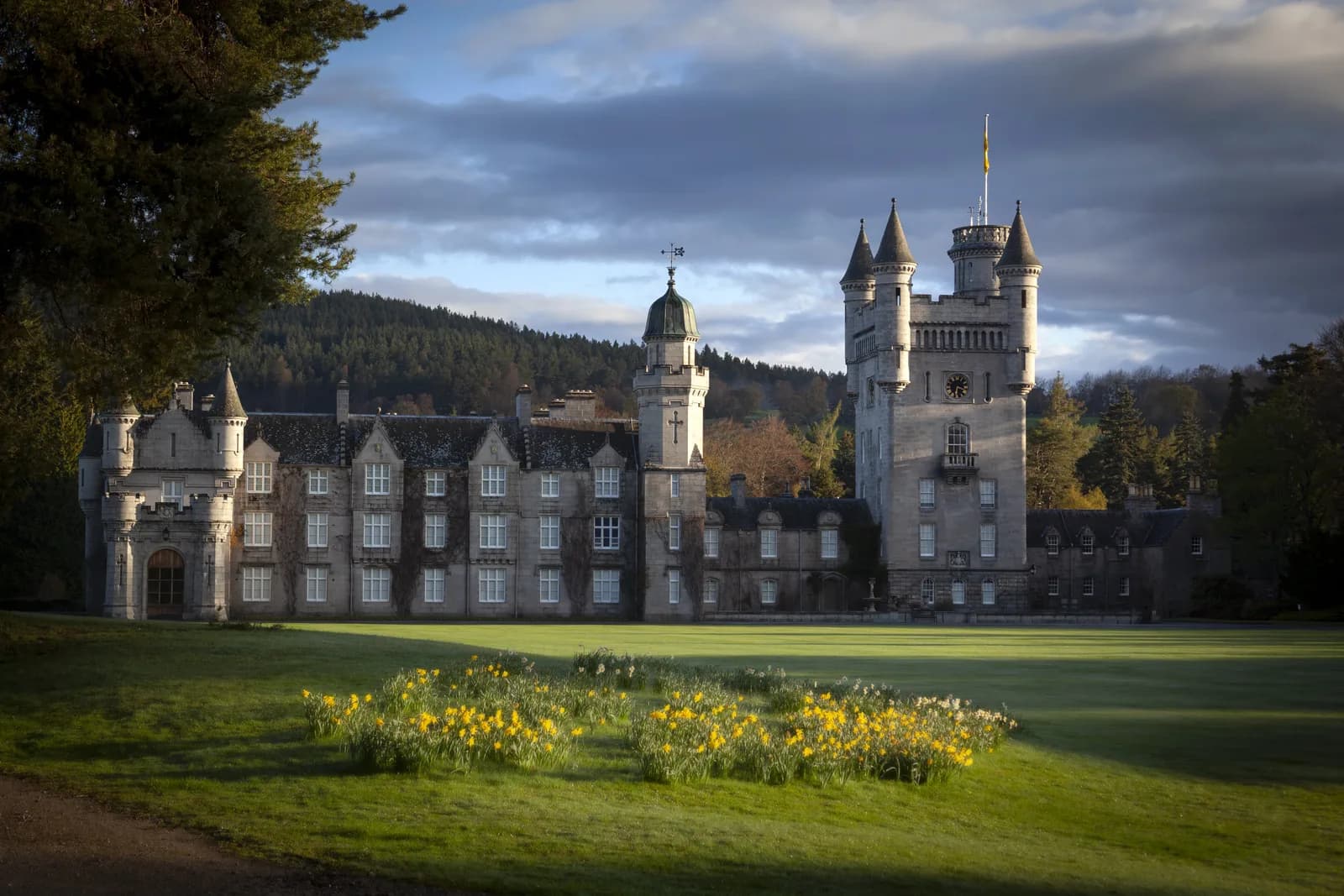 Balmoral Castle, a grey stone building with turrets, against pine forest hills with yellow daffodils on the lawn