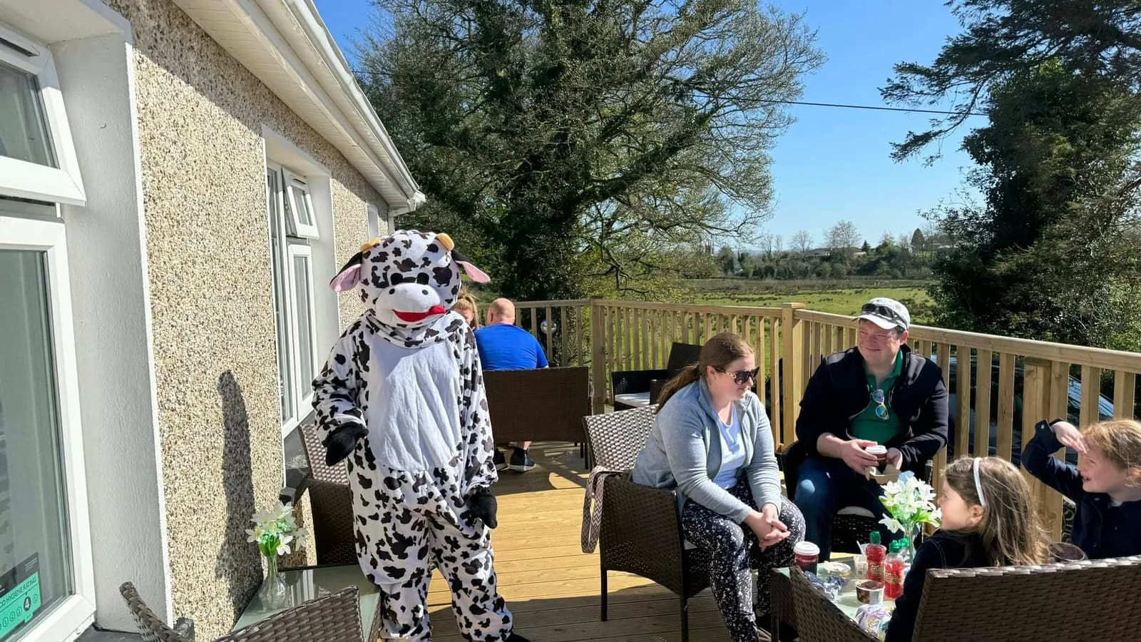 Fermanagh Fun Farm animals and activities