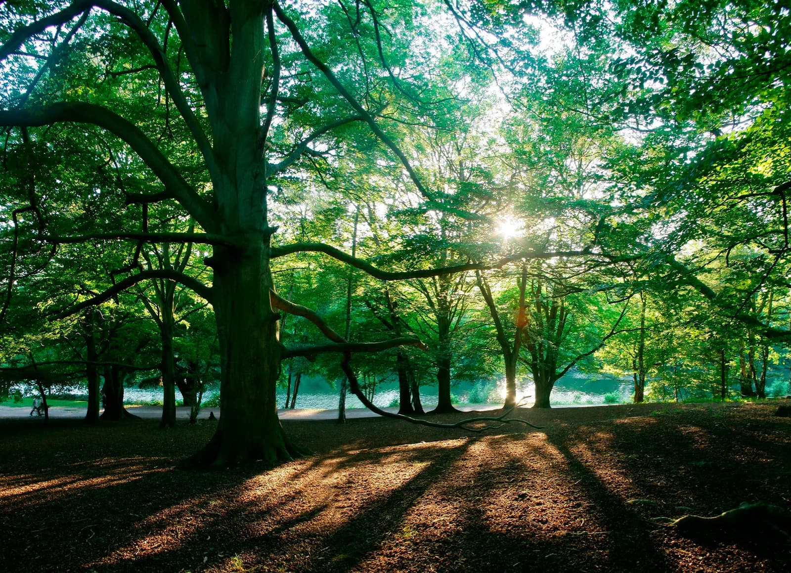 Virginia Water, Windsor