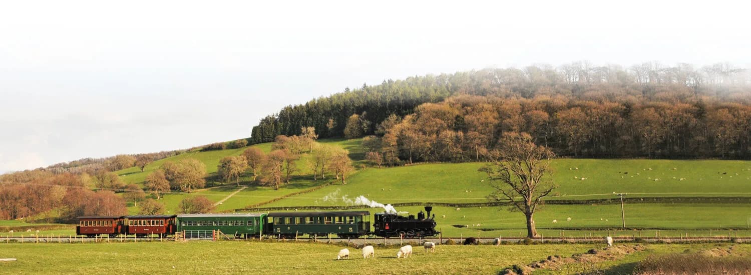 Welshpool & Llanfair Light Railway, Welshpool