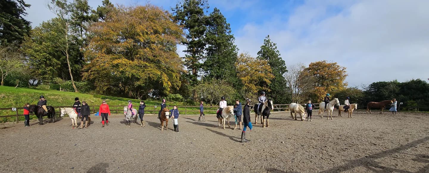 Great Trethew Trekking Centre, Liskeard