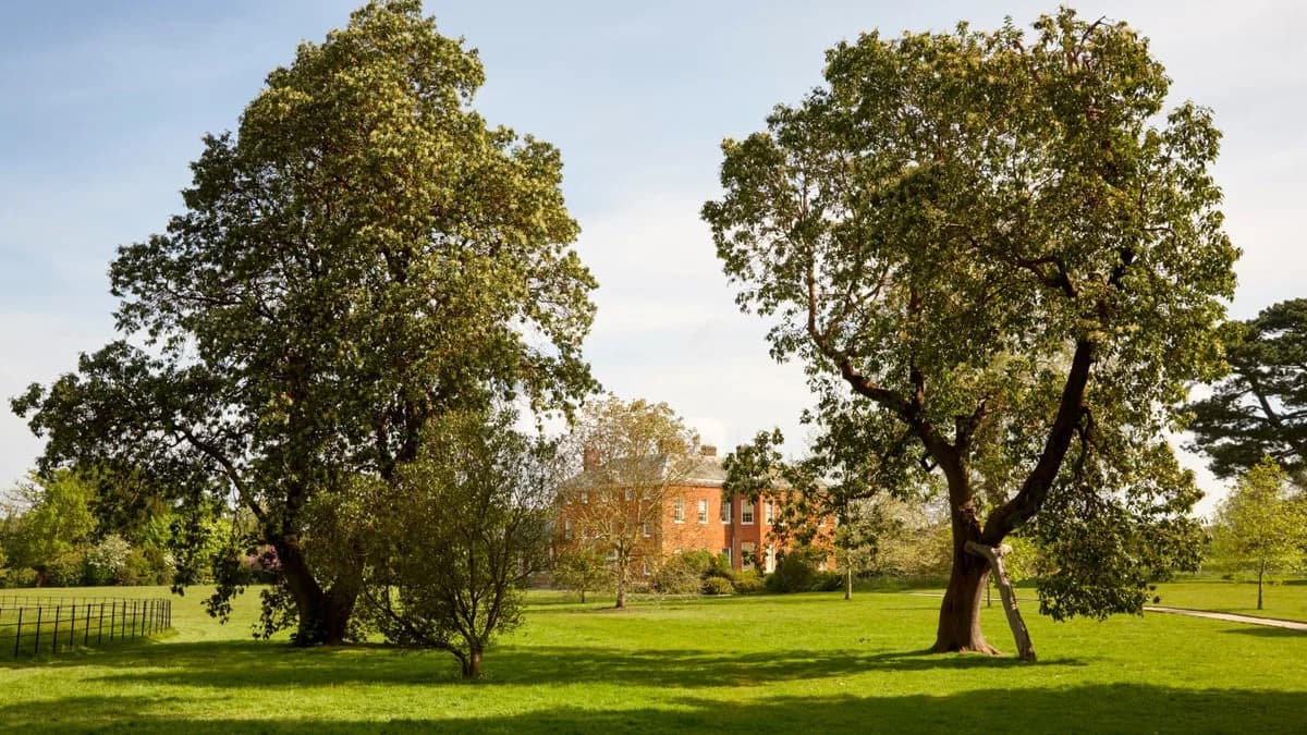 Hatchlands Park, Guildford