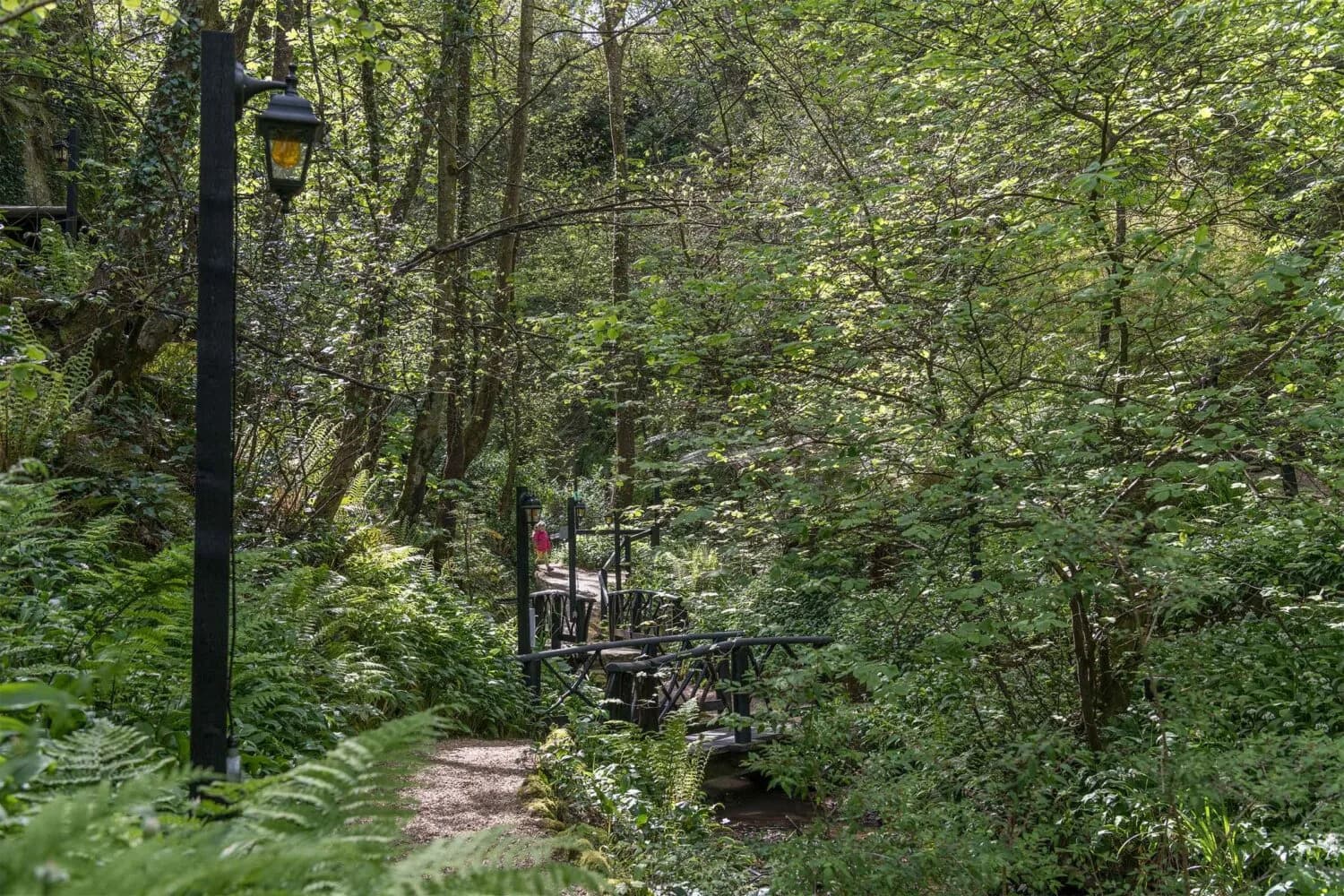 Wooded gorge path with lampposts and bridge at Shanklin Chine