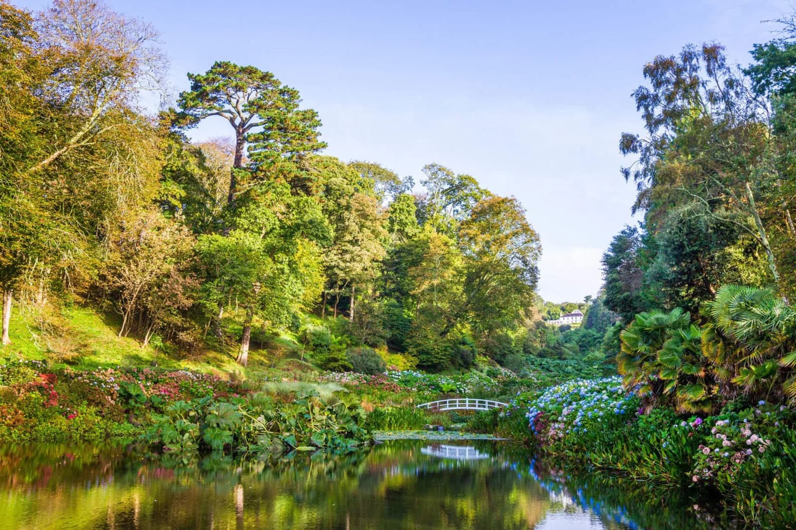 Trebah Garden, Falmouth