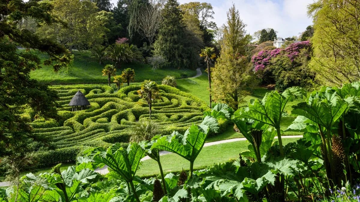 Glendurgan Garden, Falmouth