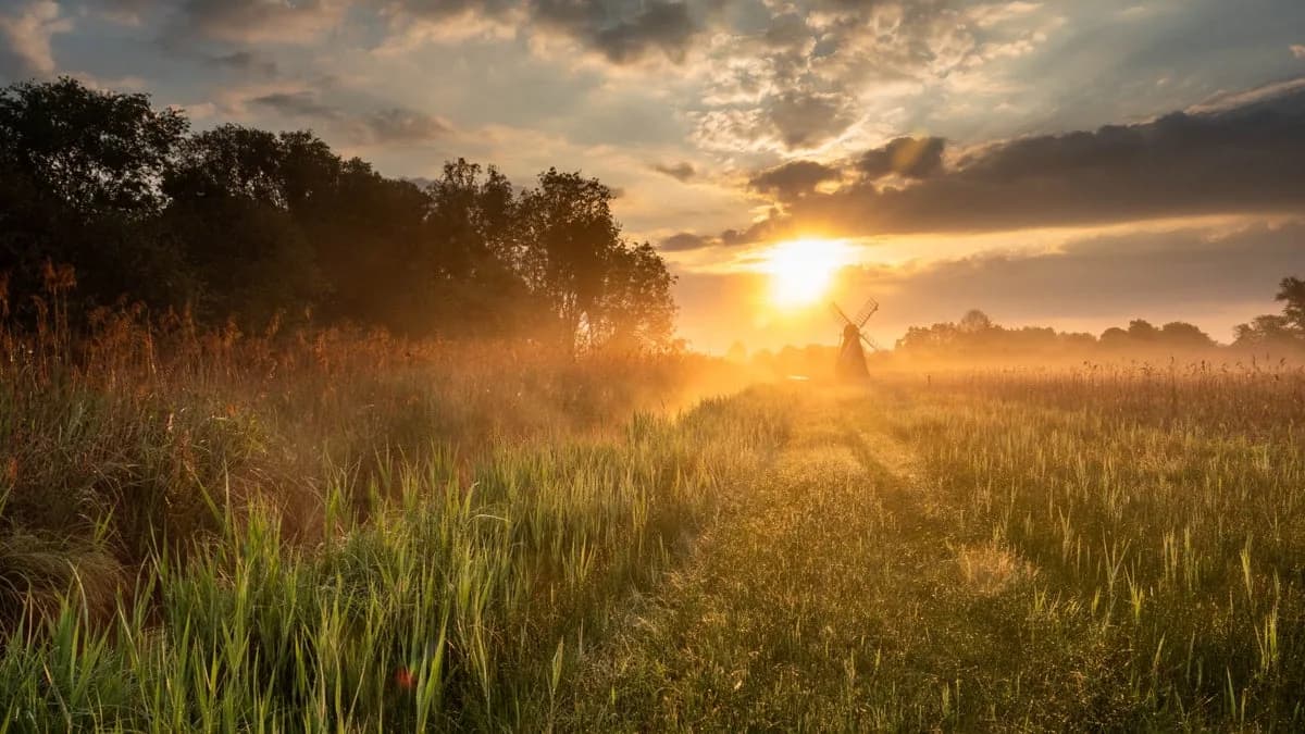 Wicken Fen, Cambridge