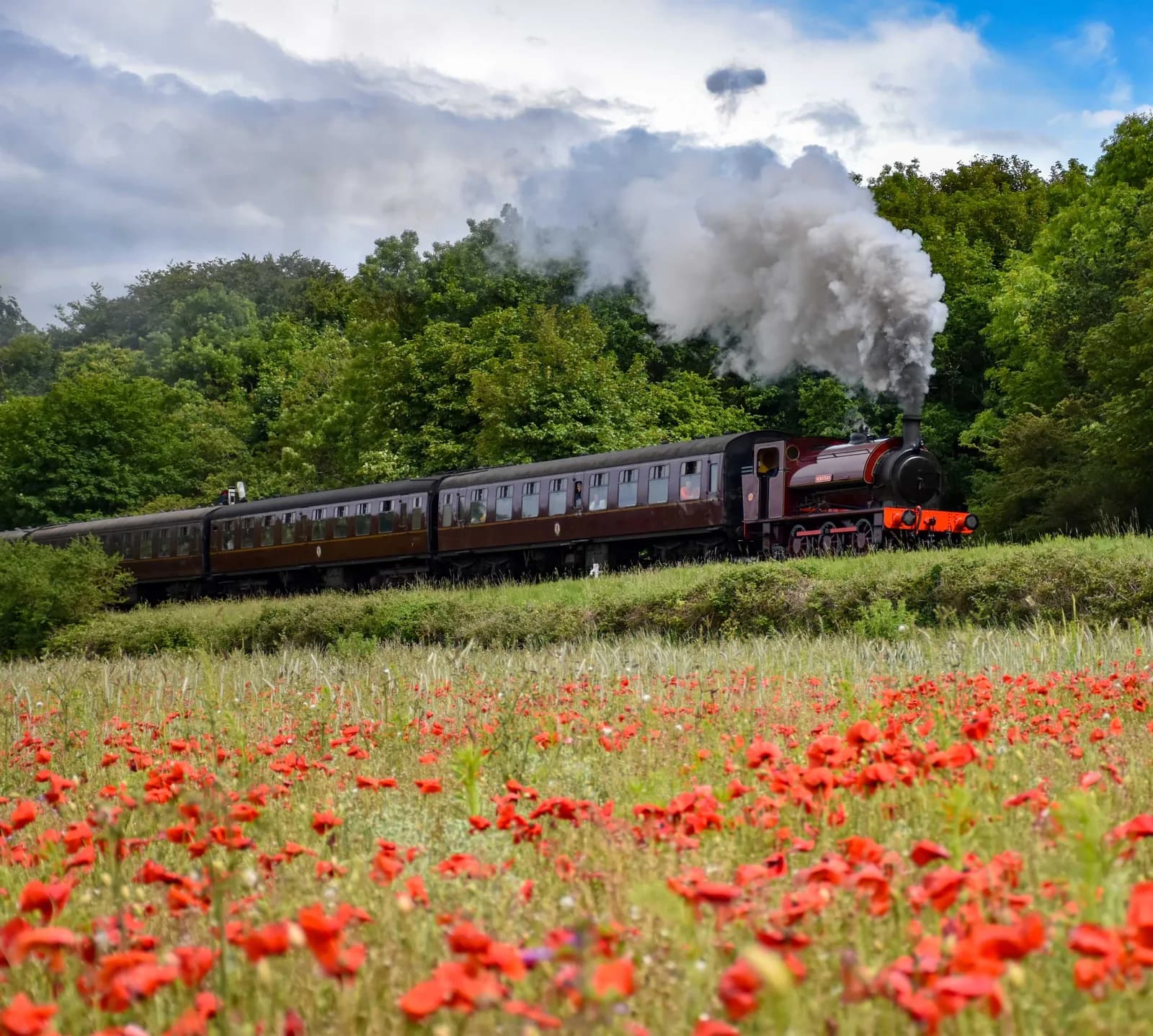 Heritage steam train crossing the North Norfolk Railway line through a field of red poppies