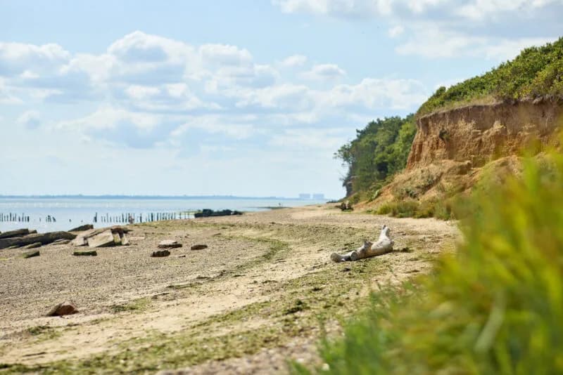 Cudmore Grove Country Park beach and grassland, East Mersea