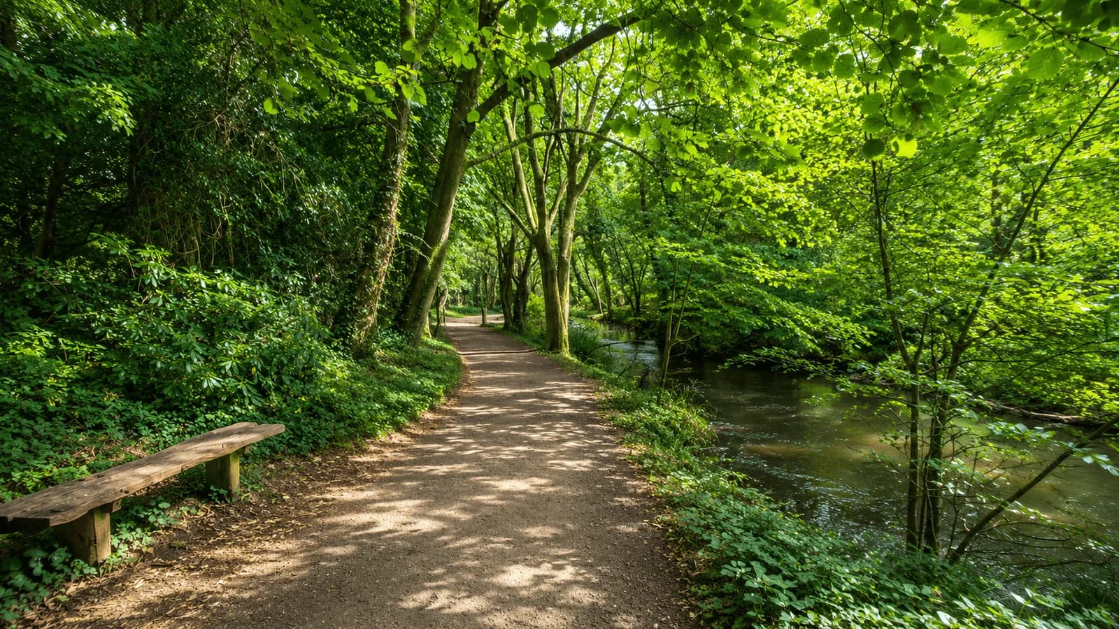 Tehidy Country Park, Illogan