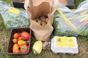 Bosavern Community Farm, St Just