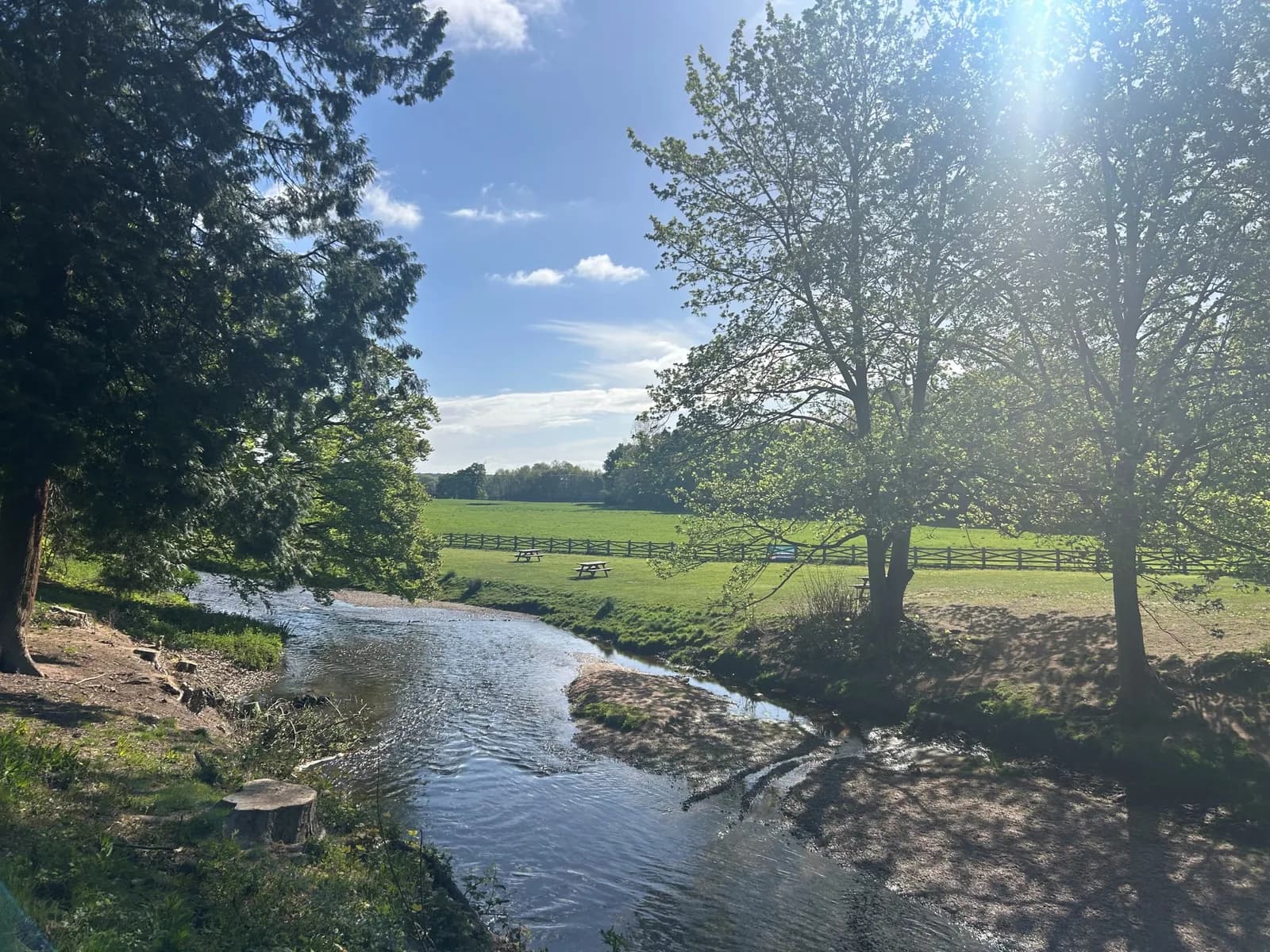 Picnic area and parkland at Thoresby Park, Ollerton