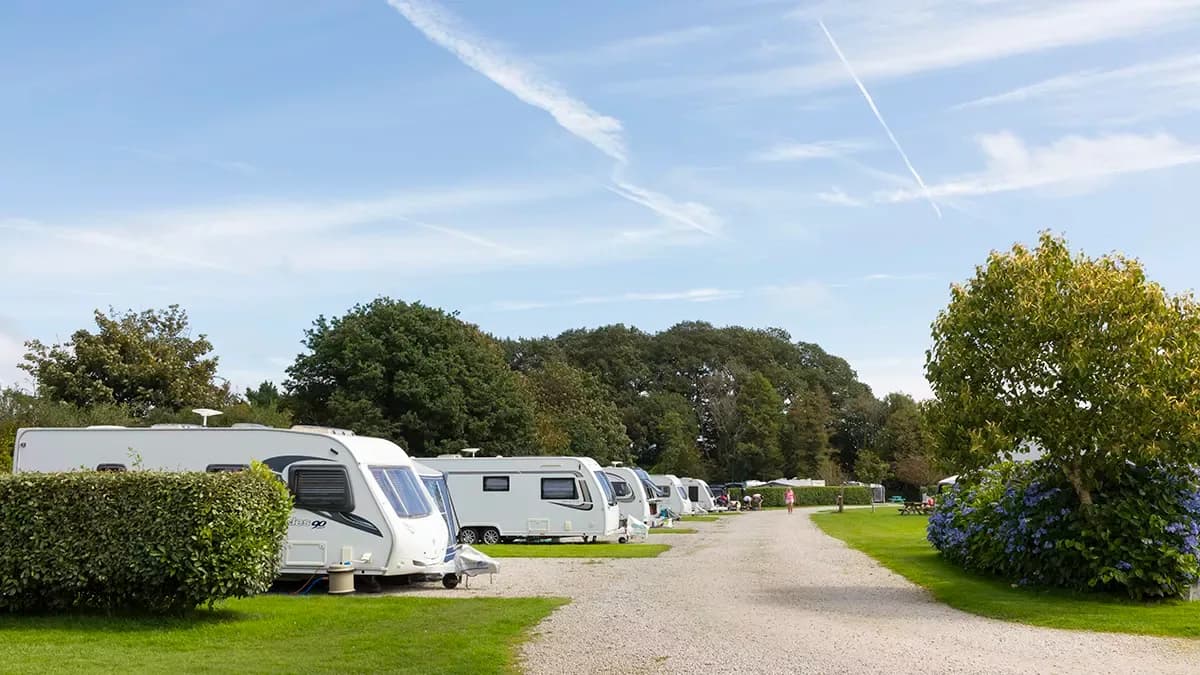 Touring caravans on pitches at Carnon Downs Caravan and Motorhome Club Campsite