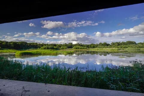 Potteric Carr Nature Reserve wetland landscape near Doncaster