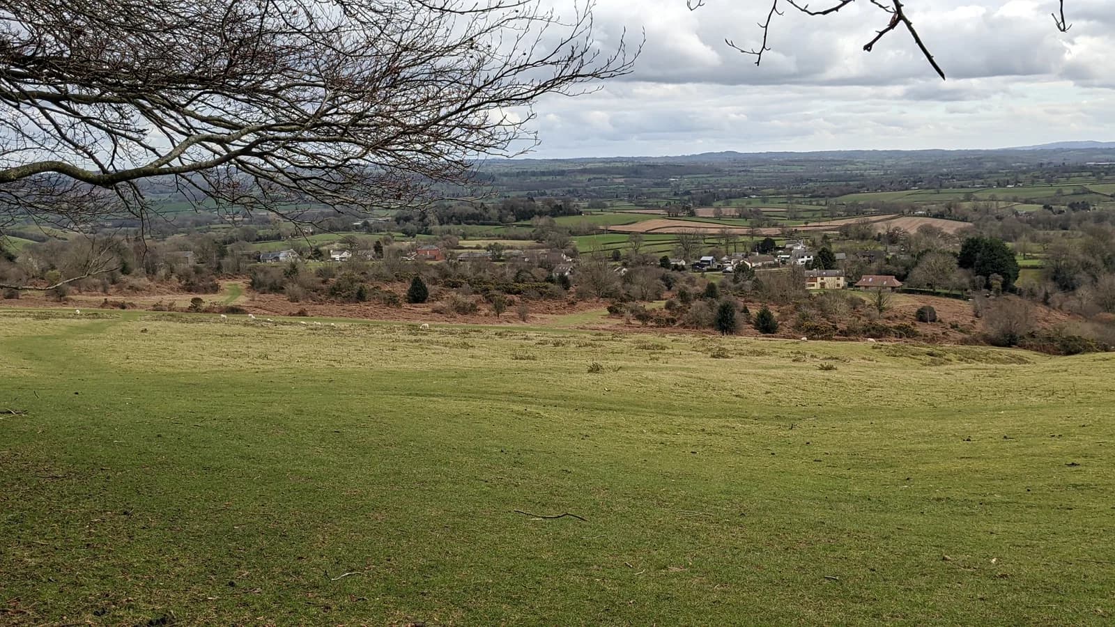 Bircher Common viewed from Oaker Coppice, Herefordshire