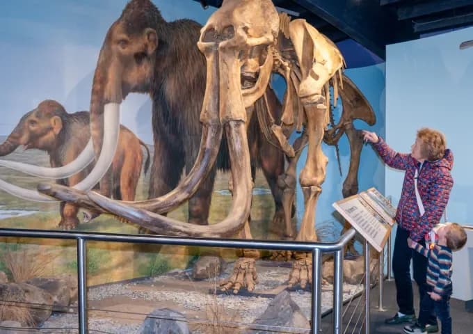 Interactive exhibition at Shropshire Hills Discovery Centre, home of the Condover Mammoth