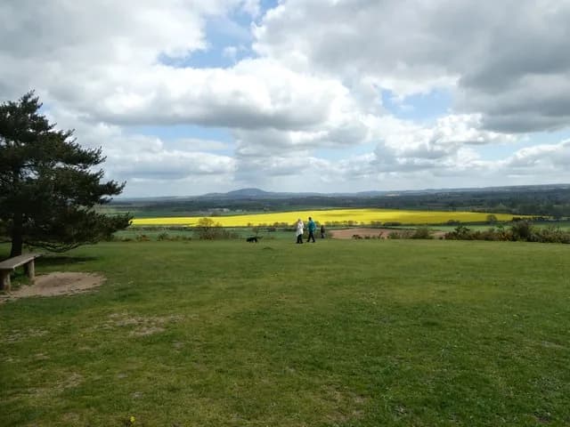 A spring day on Lyth Hill, Shropshire