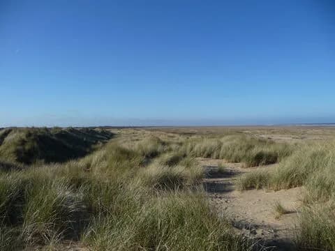 Sand dunes and beach at Saltfleetby-Theddlethorpe Dunes National Nature Reserve, Lincolnshire