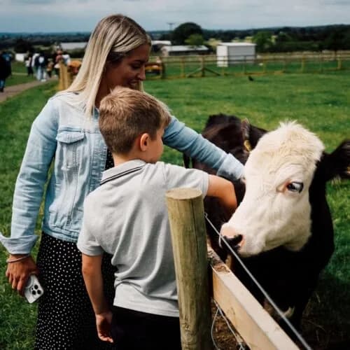 Children enjoying play areas at Bluebell Dairy farm park near Derby
