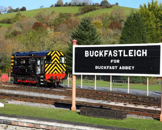 South Devon Railway, Buckfastleigh