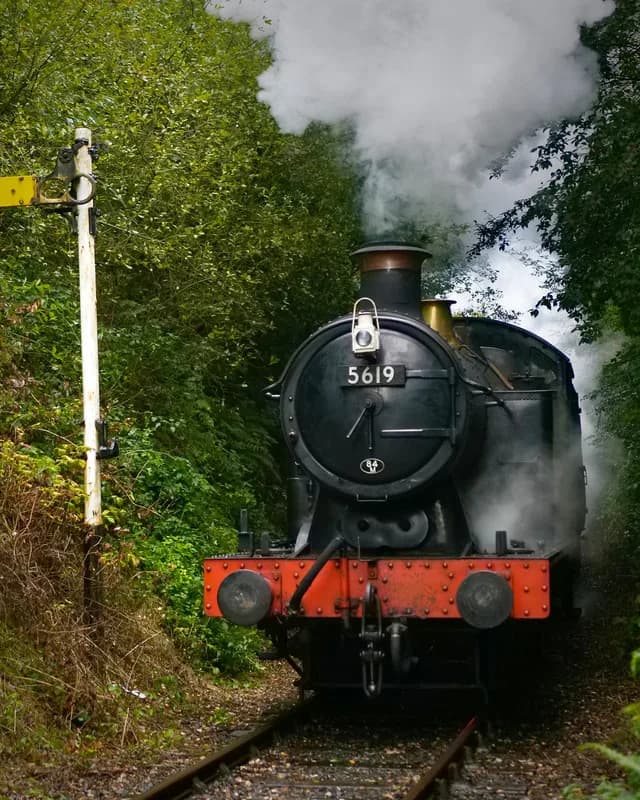 Black steam locomotive 5619 of the Telford Steam Railway emerging from leafy countryside on the line at Horsehay