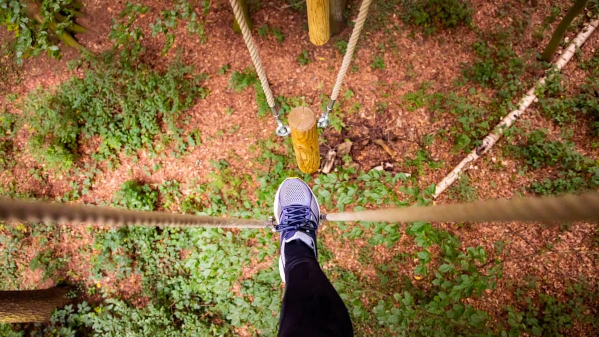 Go Ape high ropes course in the trees at Normanby Hall Country Park, Scunthorpe