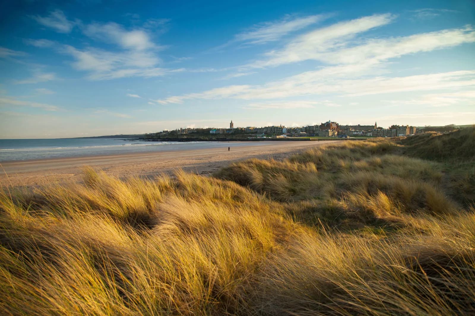 West Sands beach in St Andrews with sand dunes and grasses